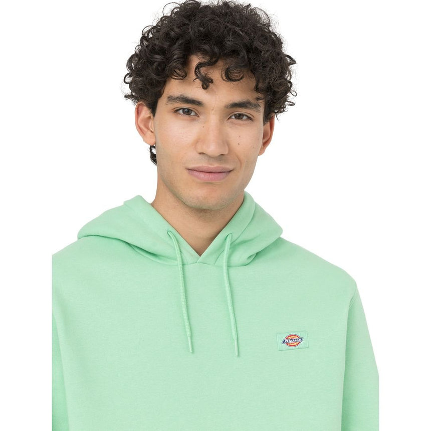 Dickies Oakport Erkek Hoodie 