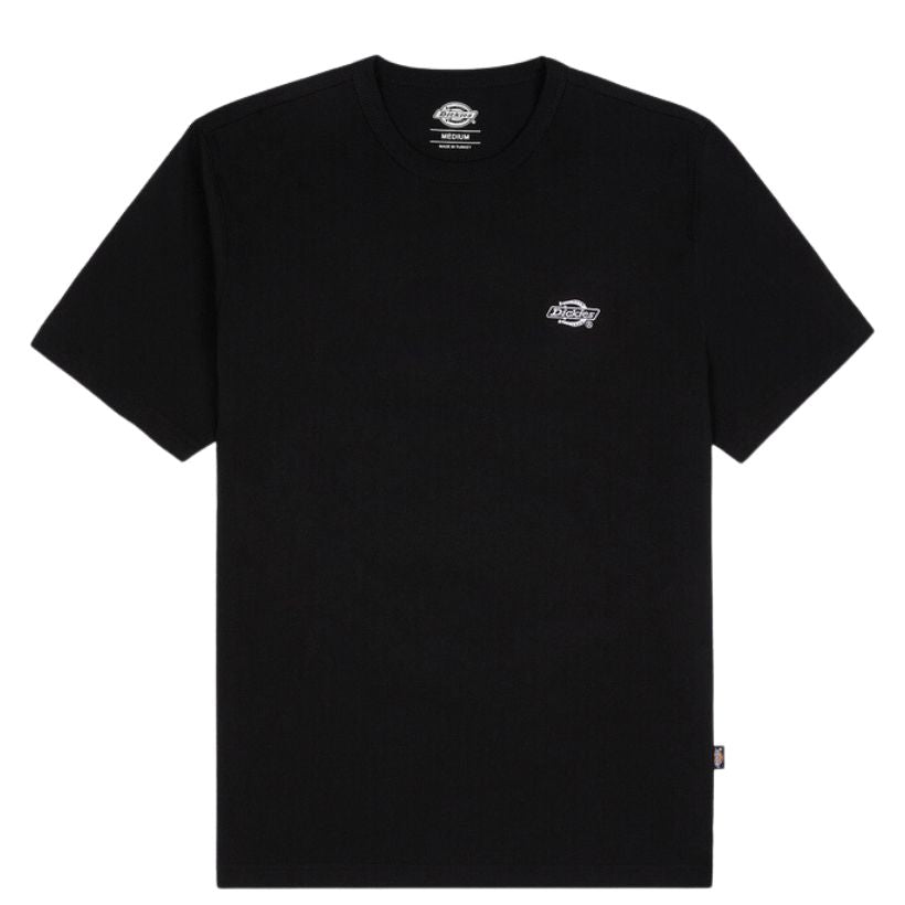 Dickies Summerdale Erkek T-Shirt 