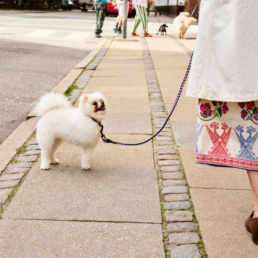 HAY Design Dogs Leash Braided 