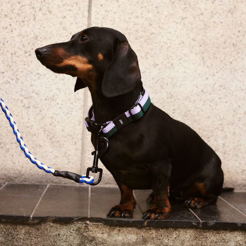 HAY Design Dogs Leash Braided 