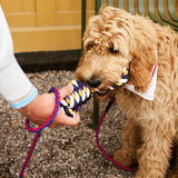 HAY Design Dogs Rope Toy 